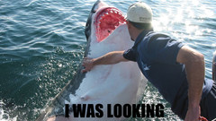 Water text Animals funny