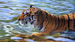 Water Tigers