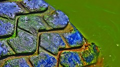 Water tires HDR Photography