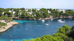 Water Trees cityscapes