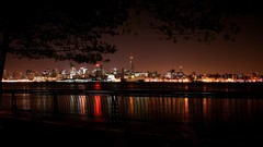 Water Trees cityscapes