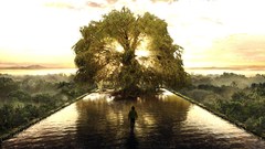 Water Trees Fountains reflections