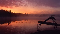 Water Trees lakes Sea