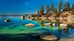 water Trees nature stones