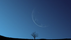 Water Trees planets moon