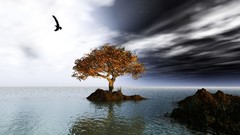 Water Trees reflections Beaches