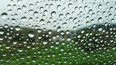 Water water drops condensation