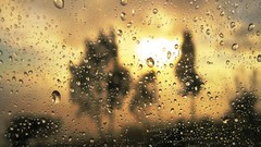 Water water drops condensation