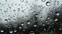 Water water drops condensation