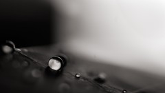 Water water drops grayscale
