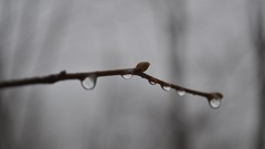 Water water drops minimalistic