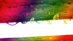 Water water drops rainbows