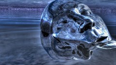 Water wet 3d surreal HDR Photography