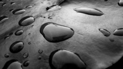 Water wet monochrome water