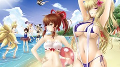 Water wings Beaches anime girls hakurei reimu touhou shameimaru 