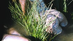 Water woman ass panties