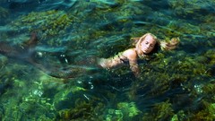 Water woman mermaids