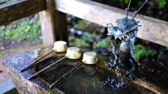 Water Wood sculptures