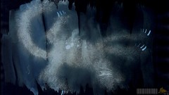 Watercolor negative Inversion wetdryvac wetdryvac.net WDV