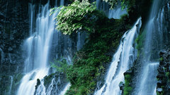 Waterfall nature