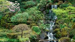 Waterfall nature Landscapes