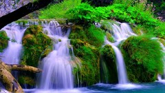 Waterfalls forests