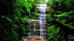 Waterfalls forests