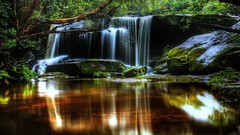 Waterfalls forests