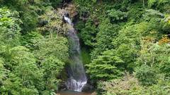 Waterfalls Green nature Trees
