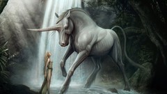 Waterfalls unicorns artwork