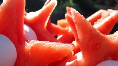 Watermelon Stars Food and