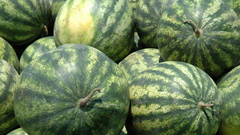 Watermelons
