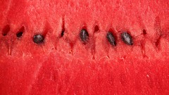 Watermelons fruits