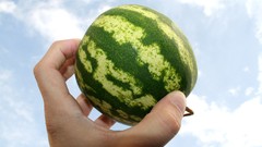 Watermelons skyscapes