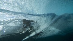 Waves surfers nature