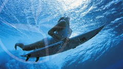 Waves surfers underwater