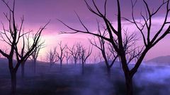 Way The all fucking treez