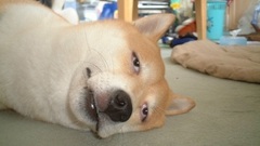 Way there make still