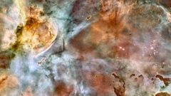 Way there shit This fucking disable