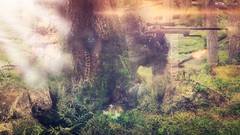 Weapons abstract woods forests digital art