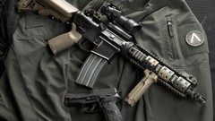 Weapons ar-15 ACOG SIG P228