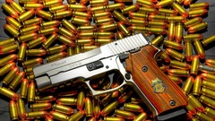 Weapons Guns Army ammunition pistols equipment