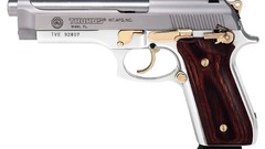Weapons Guns handguns Taurus PT 100