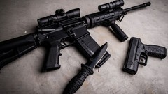 Weapons Guns Knives Rifles ar-15 Springfield Armory XDm