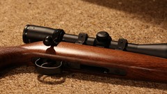 Weapons Guns metal brown Wood Rifles