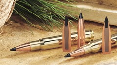 Weapons Guns military bullets