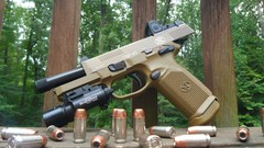 Weapons Guns pistols defense clip firearms forests weaponry 