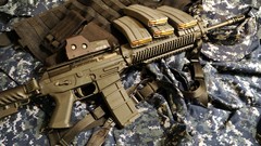 Weapons Guns Rifles eotech SIG 556