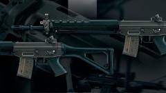 Weapons Guns SG550