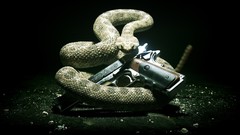 Weapons Guns snakes hitman